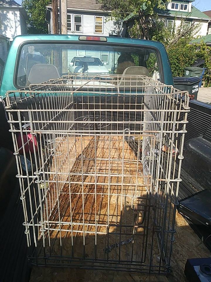 Used     Large Dog Carrier Transport Cage