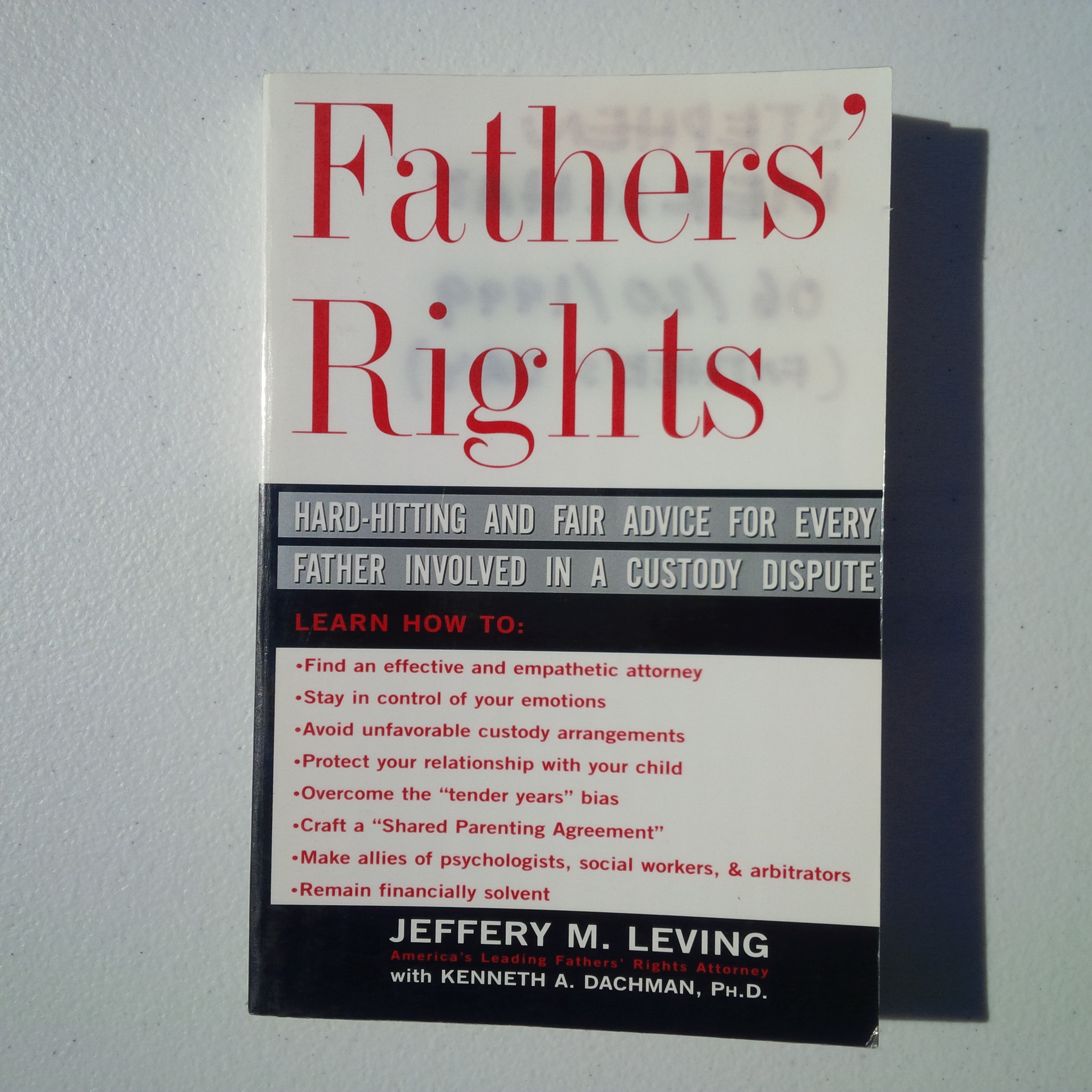 Used  1997 Levy & Dachman ISBN 0-465-02443-2 Fathers Righ...