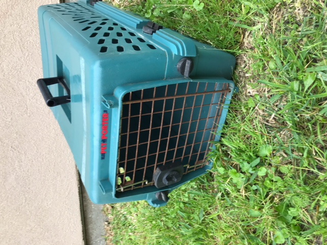 Used     1 Used Blue-Green Deluxe Petmate Pet Porter