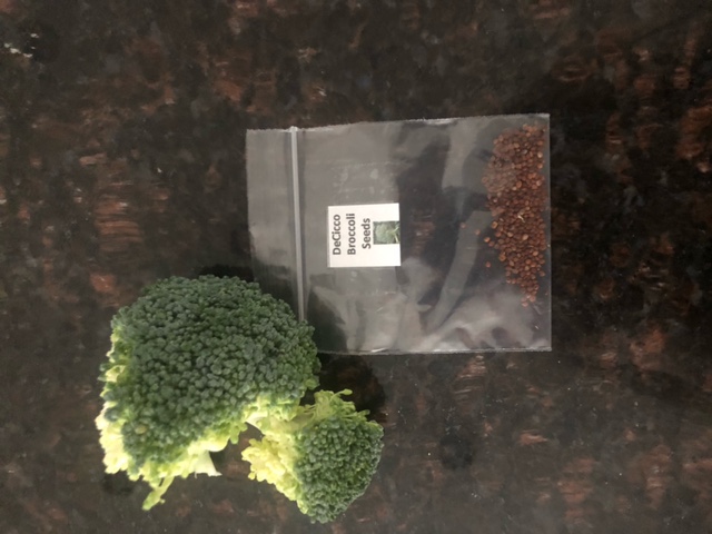 Used     200 DeCicco Broccoli Seeds