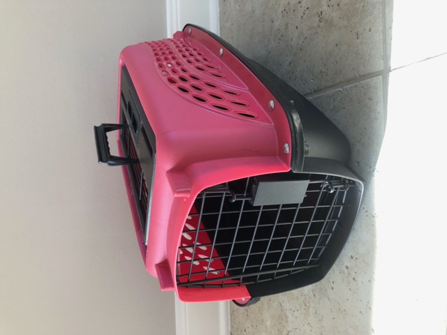 Used     1 Used Red and Black Pet Carrier